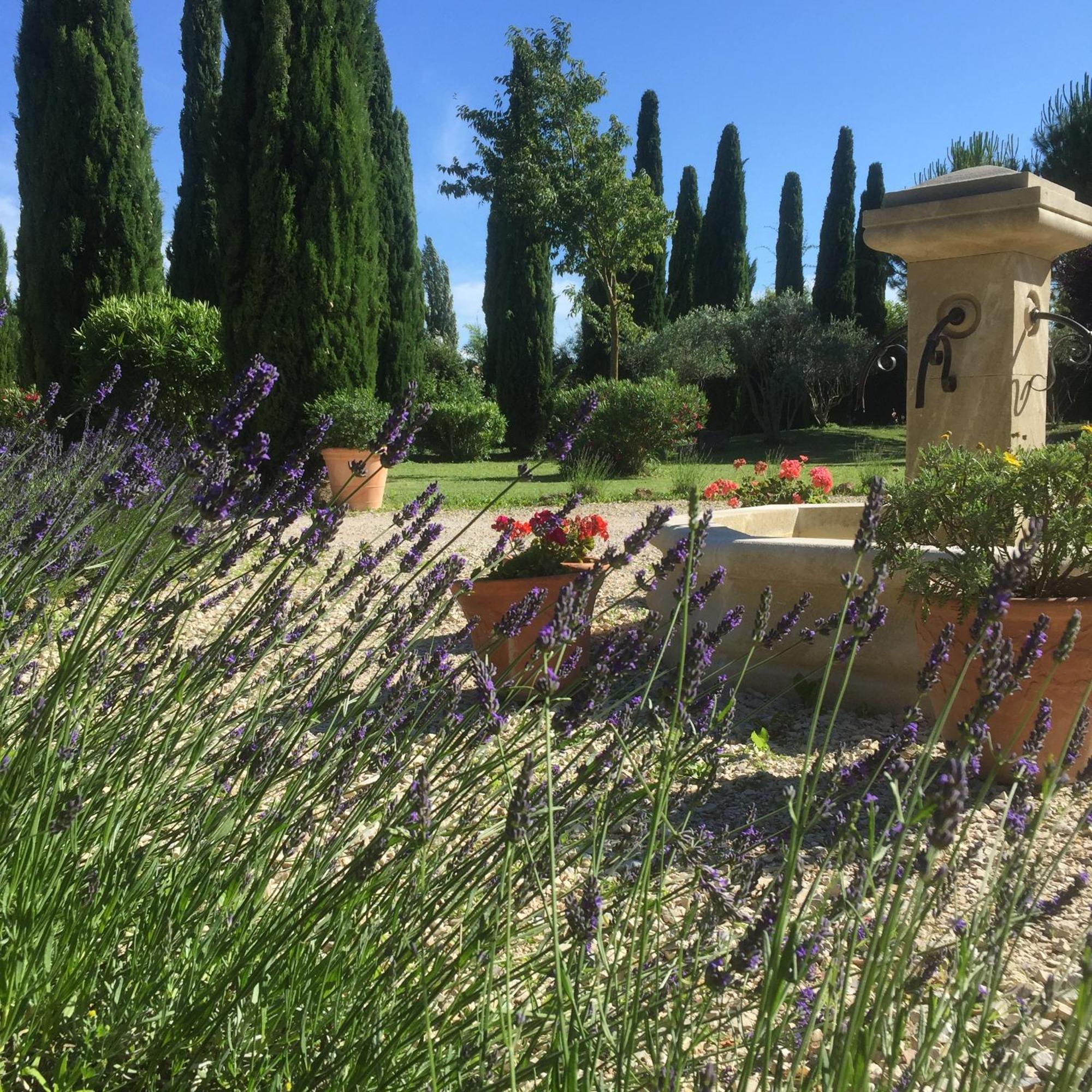 Fontaine Des Magnarelles Hotel Althen-des-Paluds Bagian luar foto